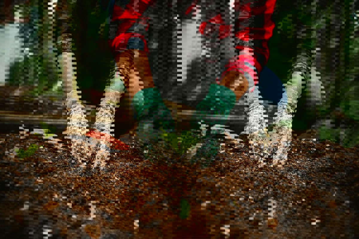 Rare Meteorite Fragment Discovered by Farmer in Manitoba Field