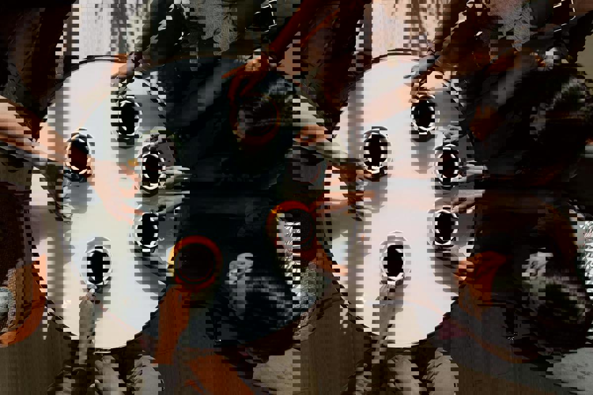 Unusual Pet Cafés Thrive as City Dwellers Seek Exotic Companions